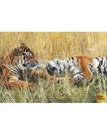 Naturescapes: Fields of Gold Tiger Digital Panel (29 inch panel) - Northcott dp21376-10