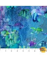 Coral Reef: Fish Navy Multi - Northcott Fabric dp28879-48 