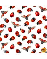 Sunflowers: Ladybugs White - Elizabeth's Studio 488white