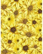 Queen Bee: Packed  Sunflowers -- Timeless Treasures Fabrics fleur-cd1362 honey 