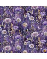 Mystic Meadow: Night Floral Field - Timeless Treasures fleur-cd4215 iris