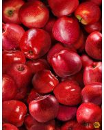 Fruit Bowl: Packed Apples Red -- Timeless Treasures Fabrics Fruit-cd1370 red