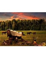 Sun Up to Sundown: Chopping Block Scenic Sunset Panel (1 yard) -- Hoffman Fabrics s4833-151
