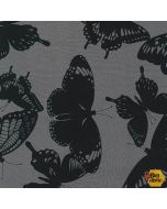 Black and White Collection: Butterflies Charcoal - Robert Kaufman 15019-184 charcoal - 2 yards 15" remaining