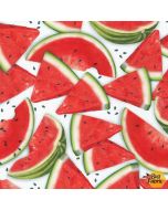 Chow Time: Watermelon -- Robert Kaufman amkd-19784-377 watermelon