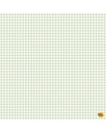 Our Little Adventure: Gingham Check Green - Timeless Treasures Fabric kidz-cd4414  green - presale July