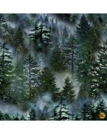 Nature: Misty Mountain Evergreen Forest  - Timeless Treasures Fabric nature cd3528 forest