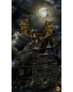 Dragon's Lair: Dragon's Castle Panel (2/3 yard) -- Timeless Treasures Fabrics panel-cd2995 black 