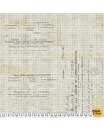 Foundations by Tim Holtz: Horticulture Aqua - FreeSpirit Fabrics pwth094.aquax