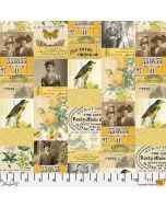 Eclectic Elements Palette by Tim Holtz: Yellow Collage - FreeSpirit Fabrics pwth240.yellow