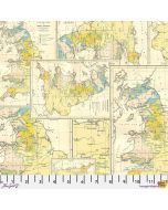 Eclectic Elements Palette by Tim Holtz: Yellow Map - FreeSpirit Fabrics pwth243.yellow