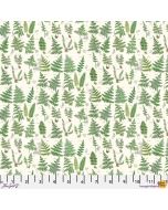 Eclectic Elements Palette by Tim Holtz: Green Ferns - FreeSpirit Fabrics pwth265.green 