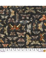 Eclectic Elements Palette by Tim Holtz: Seasonal Halloween Moth Study - FreeSpirit Fabrics pwth333.halloween