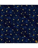 Owl Always Love You: Moons & Stars Navy - Timeless Treasures Fabric star-cd3243 navy