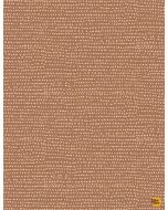 Moonscape: Bronze -- Dear Stella 1150 bronze