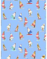 Sun of a Beach: Windsurfers -- Dear Stella Designs stella-2017 aquarius