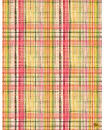 Not Ameowsed: Cozy Plaid -- Dear Stella Fabrics djl2158 multi