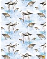 Ocean Blue: Sandpipers -- Timeless Treasures Fabrics Thomas-cd1305 white