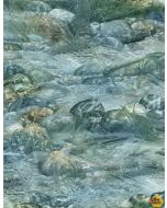 First Catch: Underwater Green -- Wilmington Prints 10148-475