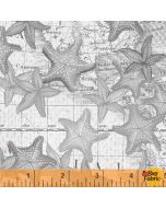 High Tide: Starfish - Windham Fabrics 42817-2 - 3 yards 6" remaining