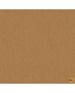 Into The Woods: Wood Texture Brown  -- Timeless Treasures Fabrics wood-cd2265 brown