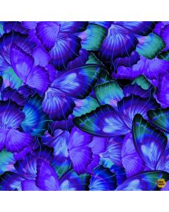 Cosmic Butterfly: Packed Bright Butterfly Wings -- Timeless Treasures Fabrics butterfl-cd1837 purple
