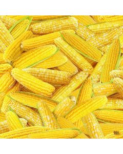Fresh Veggies: Packed Corns -- Timeless Treasures Fabrics food-cd1985 yellow