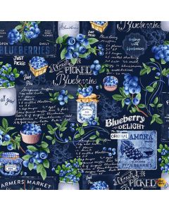 Summer Picnic: Blueberry Chalkboard - Timeless Treasures Fabric Fruit-cd1744 navy