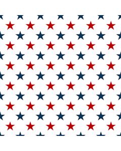 One Nation: Multi Set Stars -- Henry Glass Fabrics 113-07