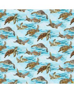 Turtle March: Large Turtles Sky Blue - Henry Glass Fabrics 1143-11