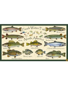 Keep it Reel: Descriptive Fish Panel (2/3 yard)  -- Blank Quilting 1364p-41