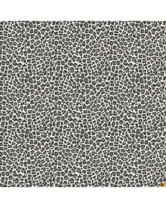 Baby Safari: Leopard Print Gray -- Northcott Fabrics 24676-93