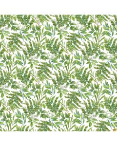 Morning Blossom: Fern Toss White Green -- Northcott Fabrics 24922-10