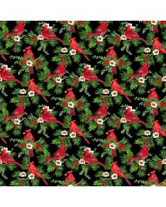 Cardinal Christmas: Cardinals Black -- Northcott Fabrics 25481-99