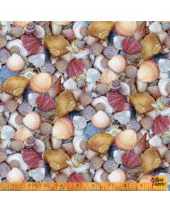 Landscapes: Shellabrate Shells -- Windham Fabrics 52117d-x