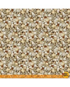 Landscapes: Shellabrate Again Shells -- Windham Fabrics 52120d-x