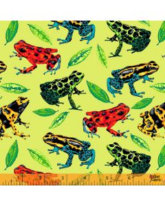 One of a Kind: Frogs Ribbit -- Windham Fabrics 52856d