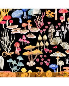 Deep Forest: Mushroom Magic Black -- Windham Fabrics 52991d-1