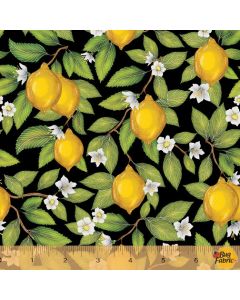 Just Fruit: Lemons Black -- Windham Fabrics 53314-2