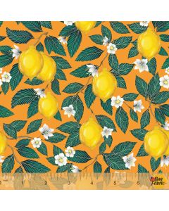 Just Fruit: Lemons Orange -- Windham Fabrics 53314-5