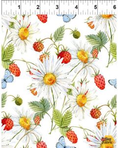 Hedgehog Hollow: Daisies & Berries White -- In The Beginning Fabrics 6HH1
