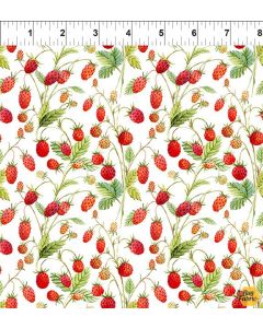 Hedgehog Hollow: Strawberries White -- In The Beginning Fabrics 8HH1