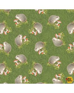 Nature Trail: Hedgehogs -- Blank Quilting 1242-66