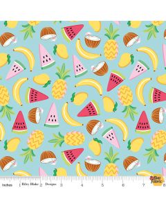 Rainbowfruit: Let's Get Coconuts Aqua -- Riley Blake Designs c10891 aqua