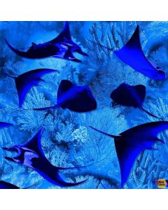 Jewels of the Sea: Stingray Dance Cobalt -- Michael Miller Fabrics dcx11128-coba-d