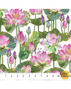 Water Lilies: Feature Floral Cream -- Northcott Fabrics 25057-11 cream multi