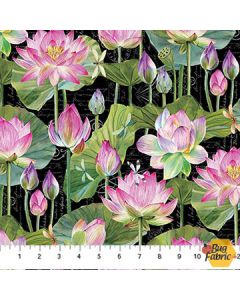 Water Lilies: Feature Floral Black -- Northcott Fabrics 25057-99 black multi