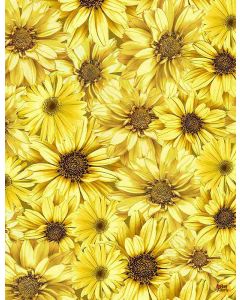 Queen Bee: Packed  Sunflowers -- Timeless Treasures Fabrics fleur-cd1362 honey 