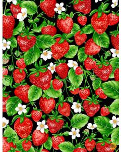 Strawberry Fields: Strawberries and Blooms on Vines -- Timeless Treasures Fabrics Fruit-c1043 black