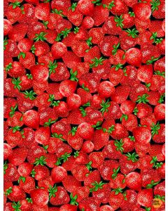 Strawberry Fields: Packed Strawberries -- Timeless Treasures Fabrics Fruit-c1046 black